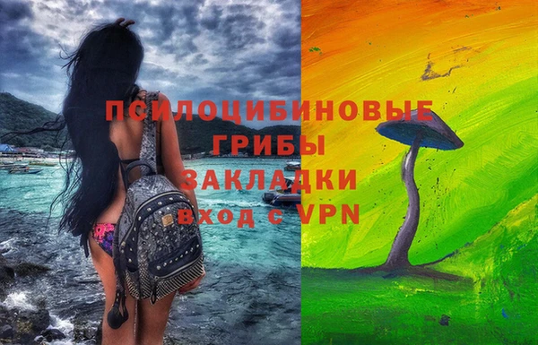 мяу мяу мука Алексеевка
