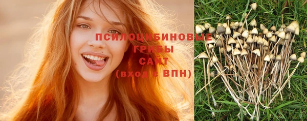 мяу мяу мука Алексеевка