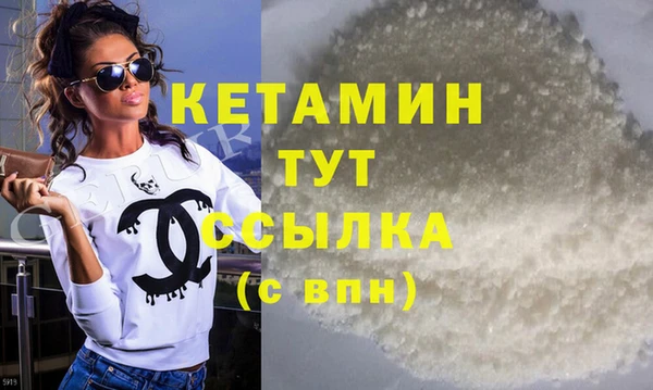 сатива Новокубанск