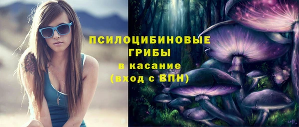 кокс Алексин
