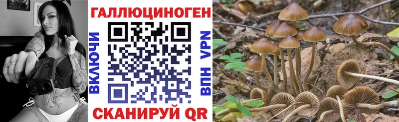 купить наркоту  Чайковский  Псилоцибиновые грибы MAGIC MUSHROOMS 
